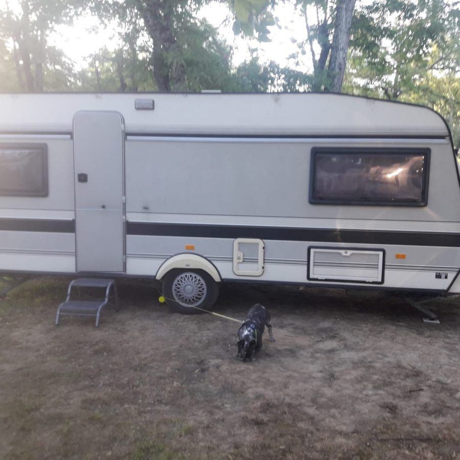 Hobby Prestige 545 [BE]