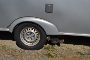 DSC_0550.JPG