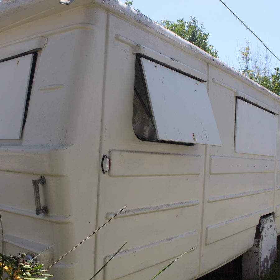 IMG_8115.JPG