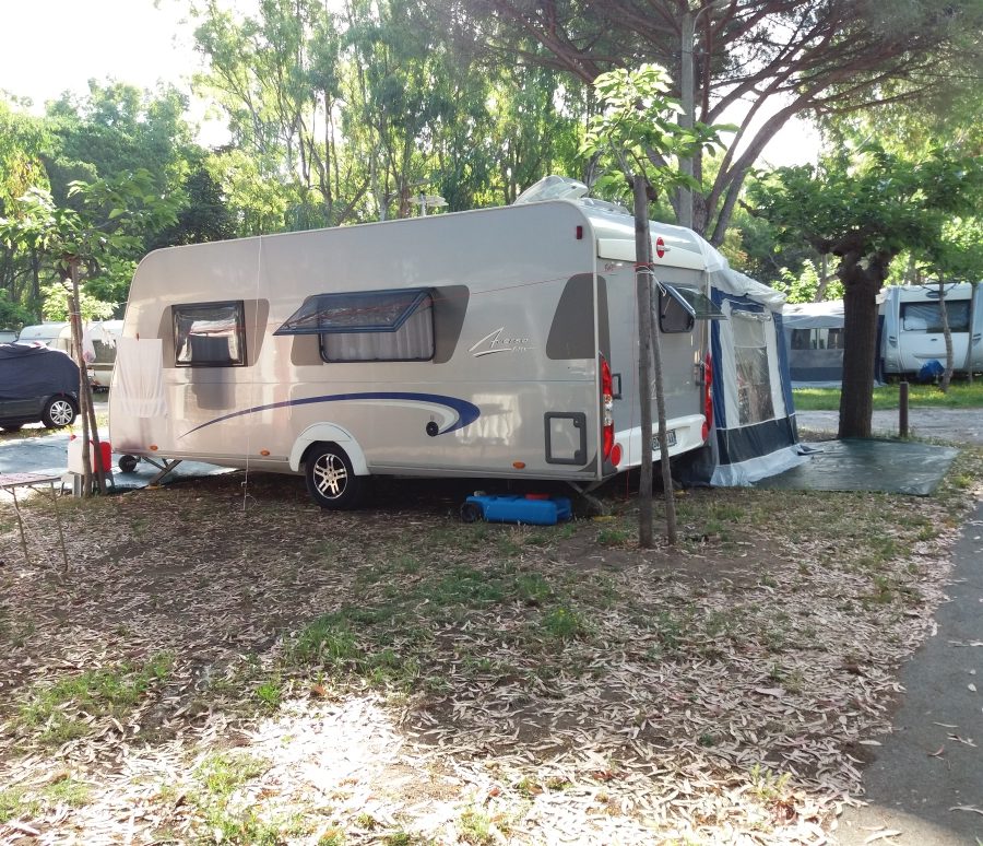 burtner averso fifty 470 TS
